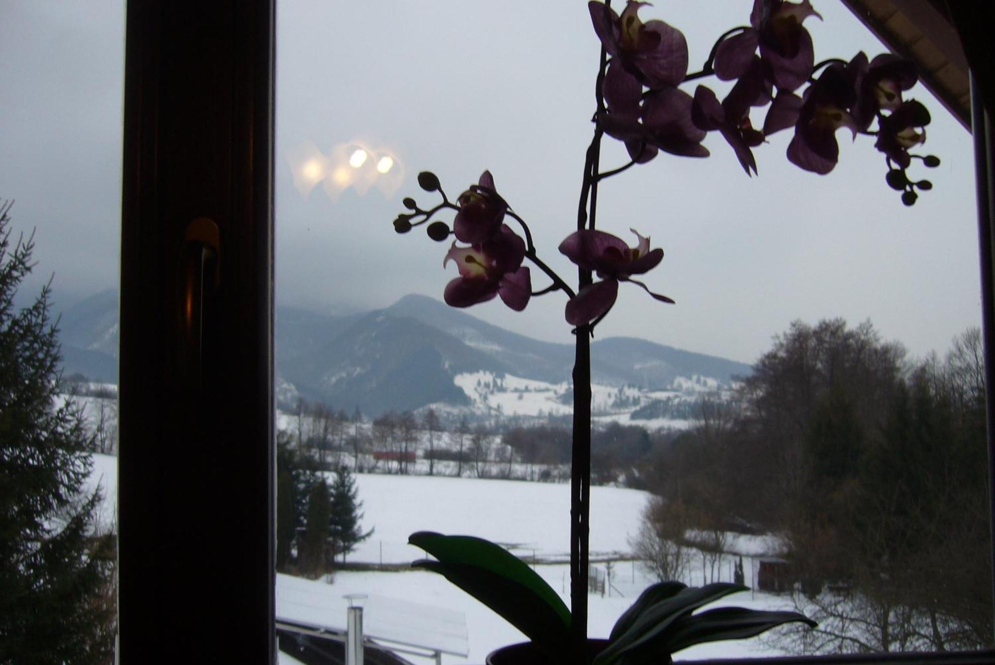 Rekreačná chata pod Jedľovinou Varin Habitación foto